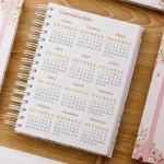 Agenda Agendamento Lash Designer 2026