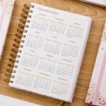 Agenda Agendamento Paciente 2026