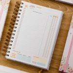 Agenda Agendamento Paciente 2026