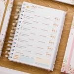 Agenda Agendamento Lash Designer 2026