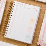 Agenda Agendamento Paciente 2026