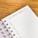 Mini caderno logins e senhas