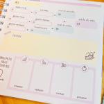 Planner Financeiro | 14x14cm