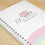 Planner Financeiro